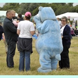Picture of Blue Bear